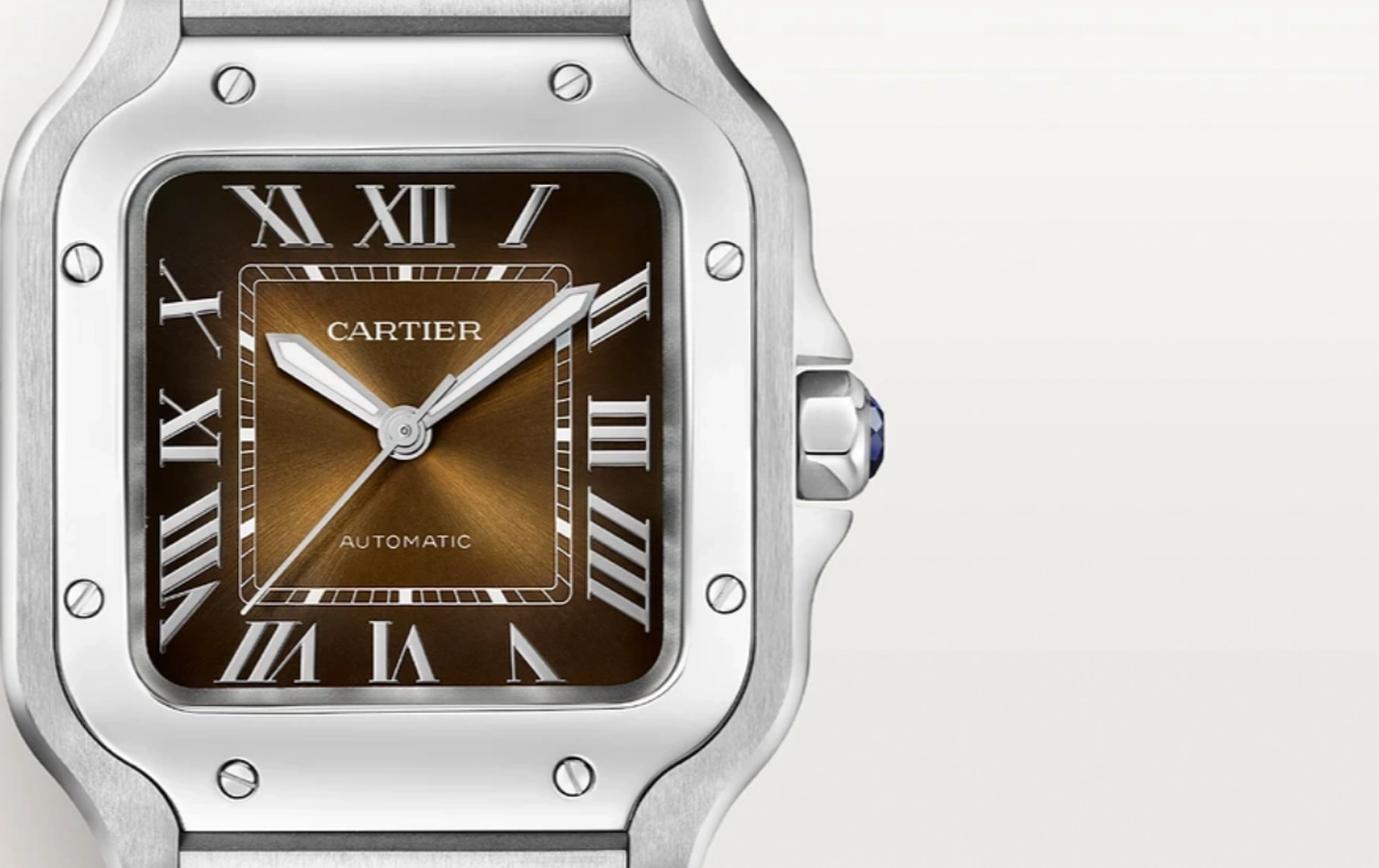 Cartier Santos 2024 WSSA0065 WatchProject 21 Shop